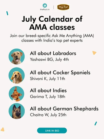 Every month, we host free, breed-specific 'Ask Me Anything' (AMA) classes with top experts. This is our July calendar, featuring sessions on Labradors, Cocker Spaniels, Indies, and German Shepherds.