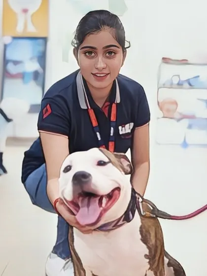 An artistic, anime-style portrait of one of our team members with a happy American Staffordshire Terrier.