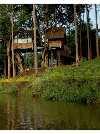 A treehouse cottage at Gorukana, built around existing trees to preserve the forest canopy. This eco-conscious approach allows guests to feel fully immersed in nature, with the structure becoming a part of the landscape.