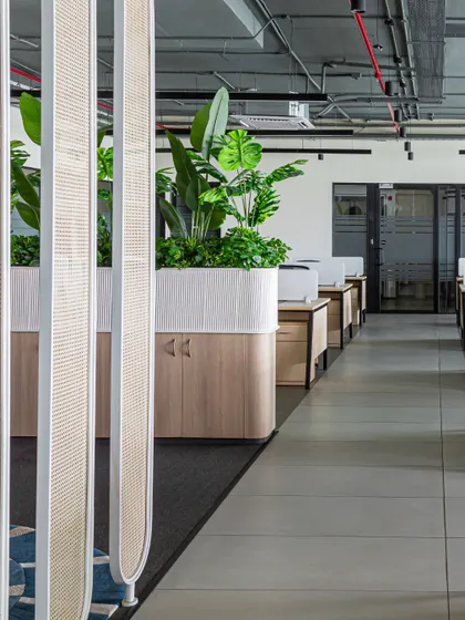 A view of the Thalia Technologies office, where I kept the central area open and filled with natural light. By integrating lush greenery into the storage units and using semi-transparent partitions, the workspace feels both connected and serene.
