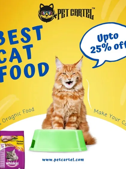 Happy cats need great food. We offer a variety of cat food options, including 100% organic food and popular brands like Whiskas, to keep your feline friend healthy and satisfied.