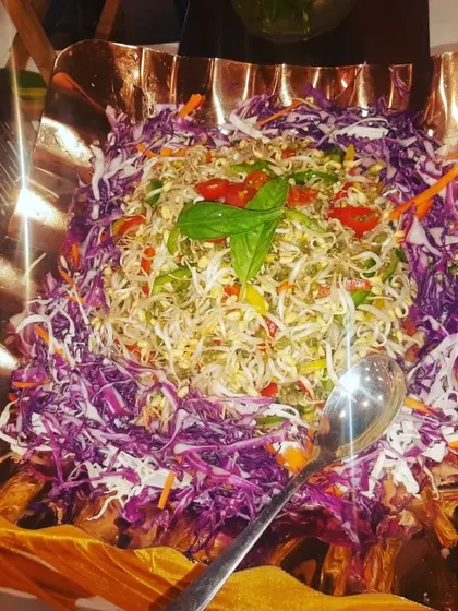 A vibrant sprout salad with red and green cabbage, bell peppers, and a basil garnish.
