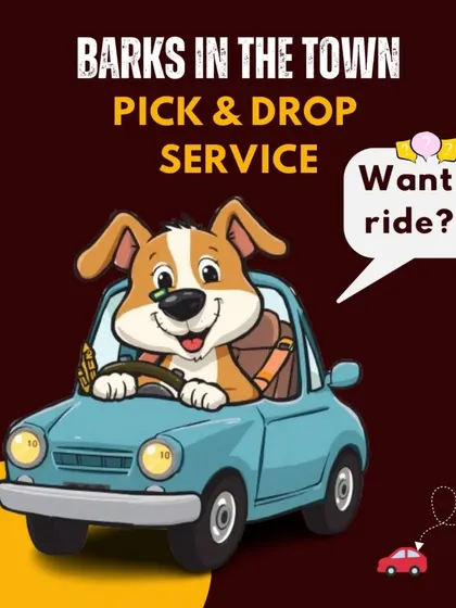 My pick-up and drop-off service is designed to make your life easier. I handle the driving so you can manage your busy schedule, and your pet gets the care they need without any travel stress for you.