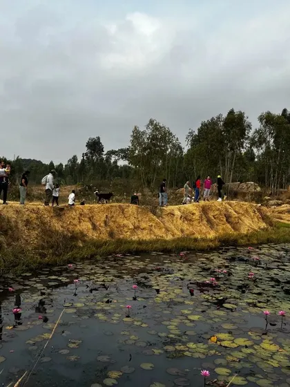 Our community trek brings together children, parents, and even a dog, exploring a beautiful landscape with a lily pond just outside Bangalore.