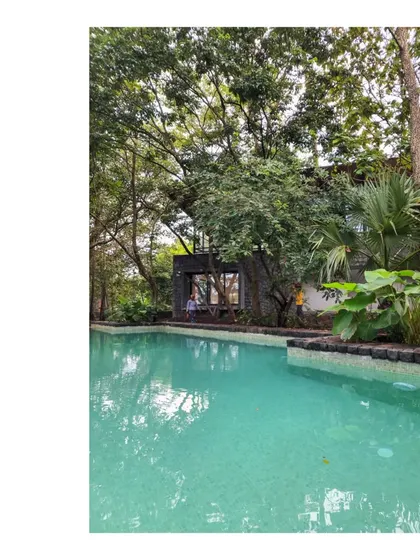 The House in a Grove embraces its setting, pushing inhabitants to use the grove and its undergrowth as a living space. The architecture becomes a bystander, a quiet partner to the trees and the pool reflecting the sky.
