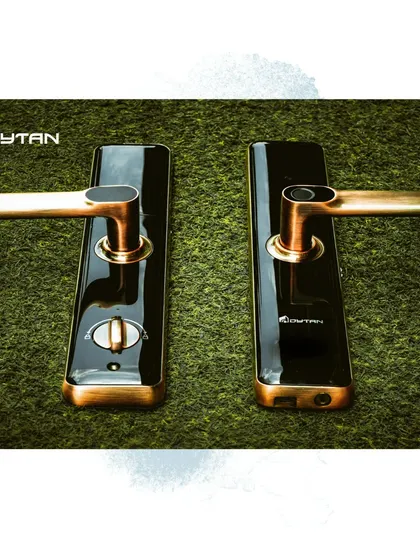 This smart door lock features a luxurious black and gold finish, perfect for high-end interiors. It combines sophisticated design with advanced security features like fingerprint access.