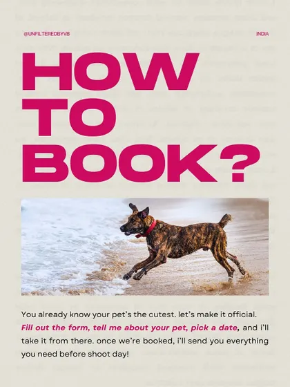 A graphic explaining how to book a shoot with me. It's a simple, straightforward process to get you started.