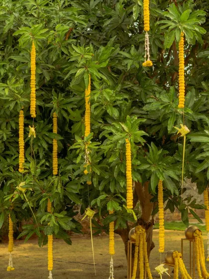 Marigold garlands and woven leaf details hanging from a mango tree. I love incorporating the natural surroundings into the decor to create an organic and grounded feel.