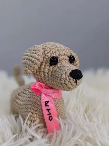 A close-up of 'Rio', the tan-colored dog, with his name on a pink ribbon.