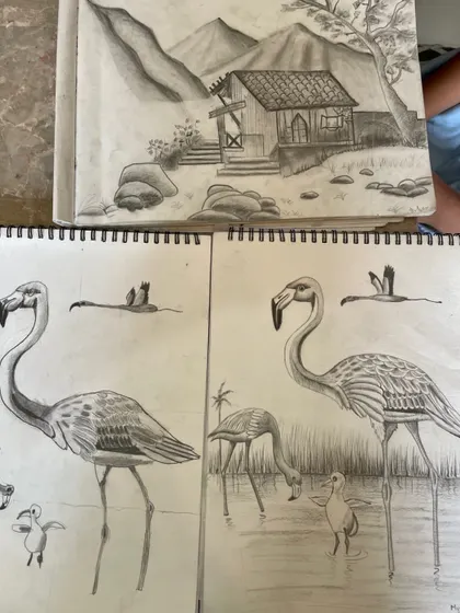 A collection of student sketches, including flamingo studies and a landscape. It's wonderful to see them practicing different subjects and improving their skills.