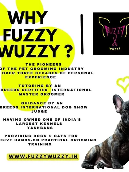 My qualifications are your assurance of quality. As an internationally certified Master Groomer with decades of experience, I provide the highest standard of care.