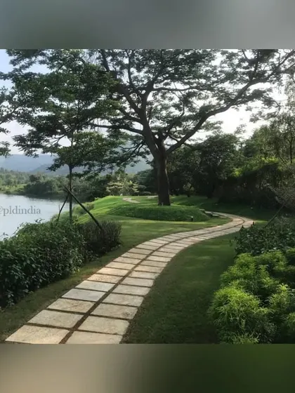 The stone pathway continues its gentle curve under the shade of a magnificent, mature tree. This design highlights my philosophy of working with existing natural features to create timeless and harmonious landscapes.