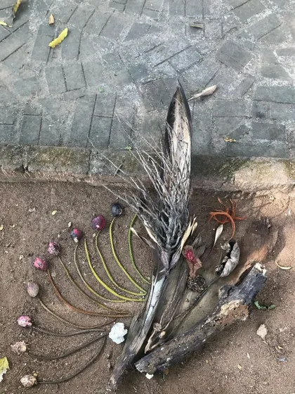 Another piece of nature art, created by collaborating with the living world. Finding and arranging natural objects is a beautiful way to practice mindfulness.