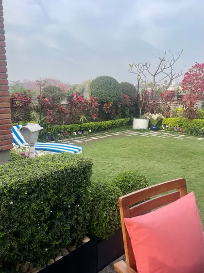 The much awaited springtime is here in my terrace garden. The bougainvillea and other flowering shrubs have started blooming, filling the space with color.