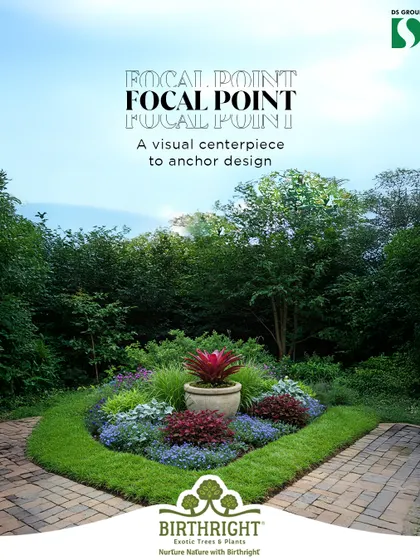Every great design needs a focal point. In this garden bed, a striking red Bromeliad in a stone planter acts as a visual centerpiece, anchoring the entire design and drawing the eye.