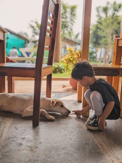 A child learns how to offer his hand for a dog to sniff before petting. These small lessons are crucial for safe and positive interactions.