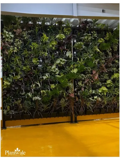 Another view of the industrial space green wall, highlighting the modular grid system used for planting. This system allows for creative designs and easy maintenance of the living wall.