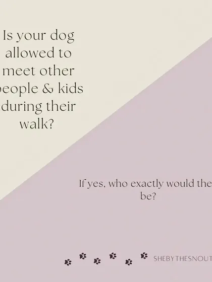 It's important for me to know your rules about your dog interacting with other people and kids during our walks.