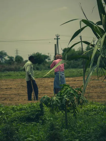 Our farmers are the stewards of the land. By choosing to buy organic, you directly support them and encourage more farmers to adopt sustainable practices that are better for the planet and our health.