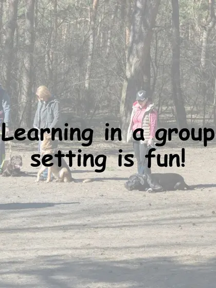 Above all, learning in a group setting is fun. The positive energy and shared goals make the training process enjoyable for everyone involved.