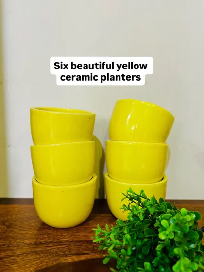 A simple and elegant design featuring our three-tier wooden shelf, which comes with six beautiful yellow ceramic planters. This setup provides ample space to display your favorite greens and create a stunning wall feature.