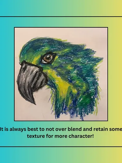 A great tip for oil pastels: sometimes it's best not to over-blend and to retain some texture for more character, as shown in this expressive parrot drawing.