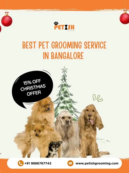 Get your pet holiday-ready with my 15% off Christmas offer. Let them shine bright during the festive season with a professional groom.