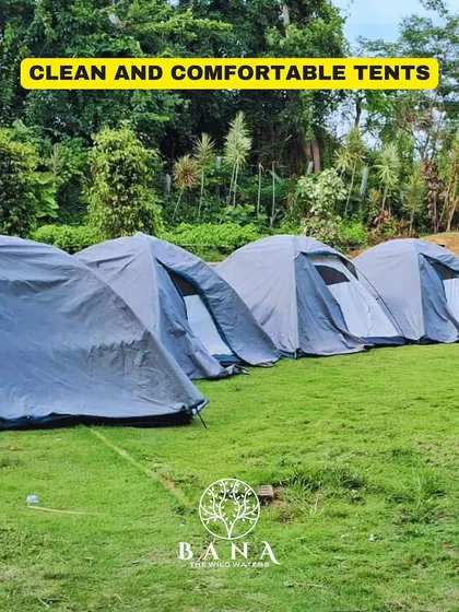 Our camping tents are set up in neat rows on a clean, grassy lawn, ready to welcome your team.