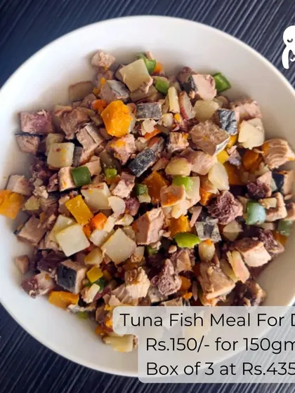 This bowl of Tuna Fish Meal showcases the vibrant colors of the fresh vegetables mixed with chunky fish. It's a light yet nutritious option for dogs of all ages.