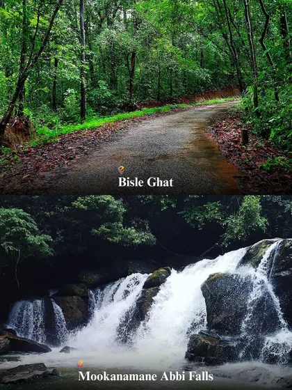 Drive through the lush Bisle Ghat and take a dip in the refreshing Mookanamane Abbi Falls on my Sakleshpur tour.