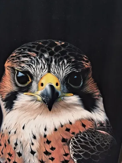 A close-up of a hyper-realistic painting of a falcon by Zeinab Sarkhosh, showcasing her incredible attention to detail.