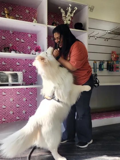 The best greetings come from a happy husky. This is the kind of joyful welcome I get from my regular clients, and it makes my day every time.