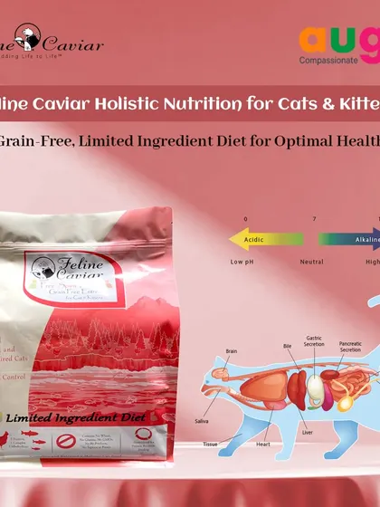 Feline Caviar is a holistic, limited-ingredient diet that helps maintain your cat's natural alkaline balance. This is crucial for supporting healthy organ function and overall vitality.