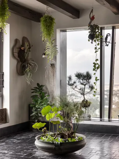 The view from the side, showing the variety of plants and the incredible city view from the window.