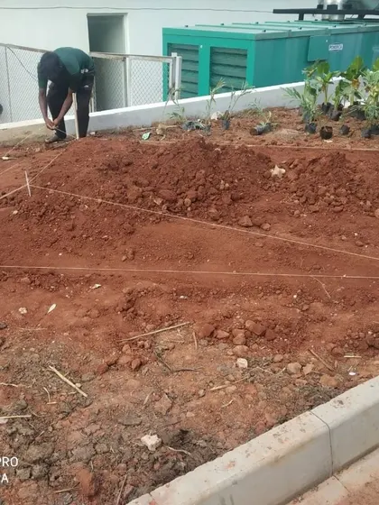 More site work in progress, showing the careful marking and shaping of the earth. Every project is a hands-on process of translating our ecological and design principles into a physical form.