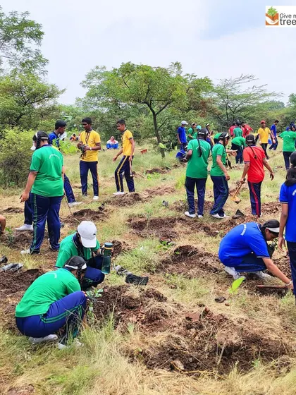 A large group of students actively participates in planting 2,000 saplings in Pune. This massive effort by young hands is a powerful statement of hope for a greener future.