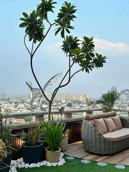 A high-angle view of a rooftop terrace we designed. The layout includes comfortable wicker seating on a wooden deck, a central frangipani tree, and surrounding planters, all overlooking the city.
