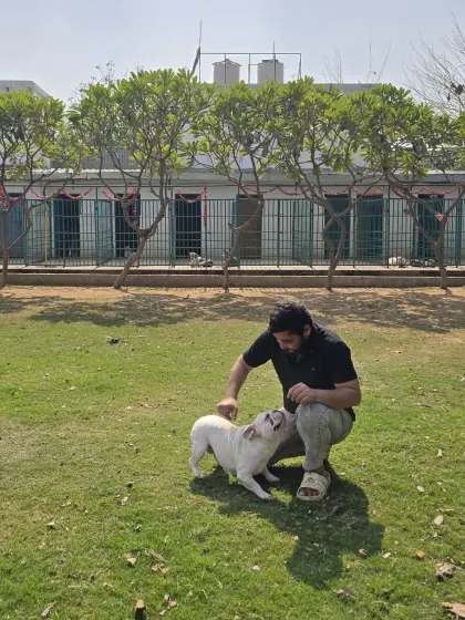 A team member playing with a Frenchie in front of our boarding kennels. This image shows the proximity of the play area to their rooms, ensuring a seamless day.