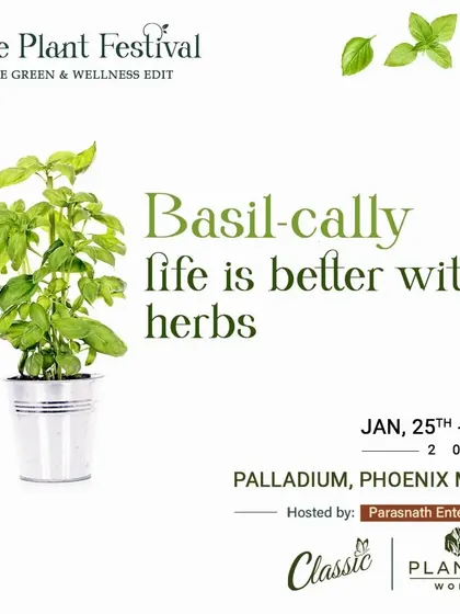We believe life is better with herbs. Discover a variety of aromatic and culinary herbs like basil at our festival to start your own kitchen garden.