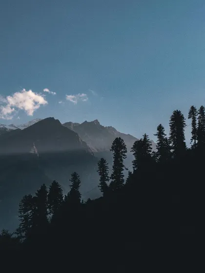 the silhouette of pine trees against distant mountains. i often draw inspiration from natural forms and silhouettes when creating custom icons and shapes.