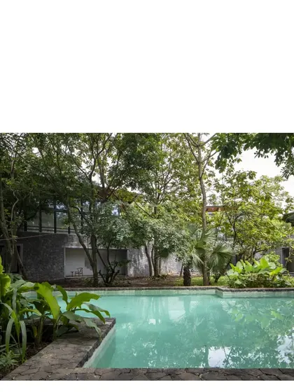 Another view of the Villa in a Grove, where the pool becomes a central element, reflecting the dense canopy. The design encourages a life lived outdoors, blurring the lines between the built structure and the natural world.