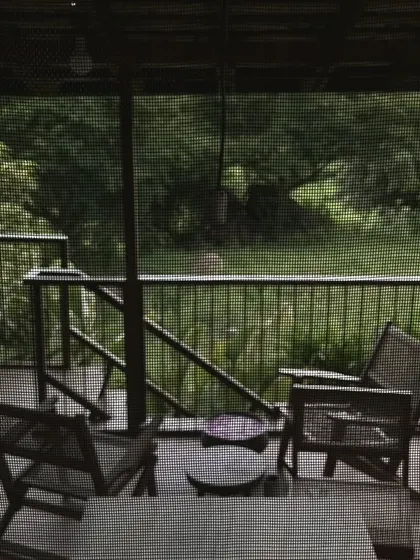 A quiet veranda from a past project. This image evokes the feeling of peace and connection to nature that we strive to create in all our spaces.