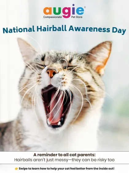 It's National Hairball Awareness Day! This is a reminder to all cat parents that hairballs aren't just messy, they can be a risky health issue. We're here to help you prevent them.