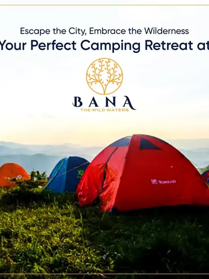 Escape the city and embrace the wilderness with our perfect camping retreat, designed for corporate teams looking to connect with nature.