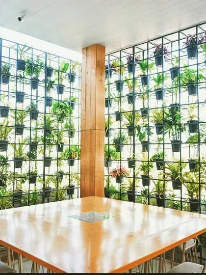 This plant grid wall at Rock Salt restaurant creates a semi-transparent green screen. The design allows light to filter through while surrounding diners with greenery, demonstrating a lighter, more open alternative to a dense living wall.