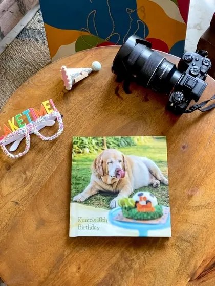 A beautiful photo album from Kumo's 10th birthday shoot. These albums are a wonderful way to hold onto the memories of your senior pet, telling the story of their life in a tangible way.