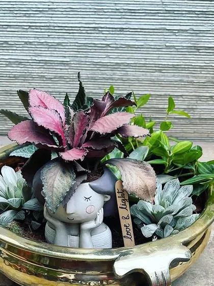 This arrangement in a brass-colored bowl features a mix of textures and colors, with a pink Peperomia and silvery Echeveria. The little "love & light" sign adds a nice touch.