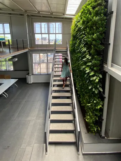 An architect walking up the steel staircase alongside the living green wall. This juxtaposition of industrial material and natural life is a key feature of our studio's design.