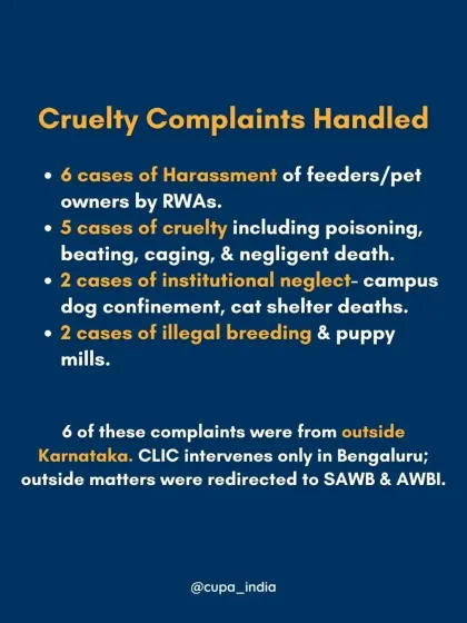 I handle numerous cruelty complaints, from harassment of feeders by RWAs and cases of poisoning or beatings to illegal breeding and institutional neglect. For cases outside Bengaluru, I connect people with their state's Animal Welfare Board.