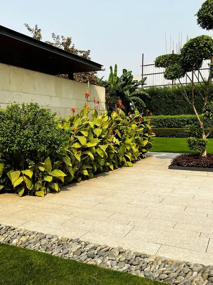 A detailed look at the structured planting beds, featuring a topiary tree and flowering Canna lilies against a stone wall. This demonstrates my approach to creating organized yet natural-looking garden compositions.